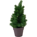 Europalms PE Tanne mit LEDs grün 40 cm