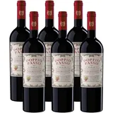 Doppio Passo Primitivo Puglia, Rotwein Italien, 6 x 750ml= 13,20€/L