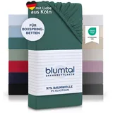 Blumtal® Baumwolle Spannbettlaken 180x200cm Basics Jersey im 2er Set - Bettbezug 180x200 cm - Oeko-TEX zertifiziertes Spannbetttuch 180x200cm - Matratzenbezug 180x200- Leintuch 180x200- Silver Pine