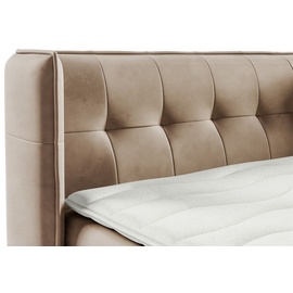Fun Möbel Boxspringbett Bett Schlafzimmerbett 140x200cm GENET Stoff Matt Velvet Creme