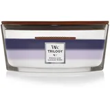Woodwick Evening Luxe Trilogy Ellipse Duftkerze
