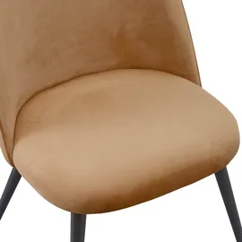 Albatros Esszimmerstuhl CAPO Samt braun 4er Set