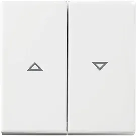 Busch-Jaeger Wippe mit Aufdruck 2504-914