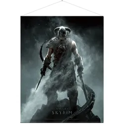 Skyrim - Wallscroll / Wandposter, Dragonborn