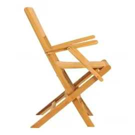 vidaXL Gartenstuhl 55 x 61 x 90 cm braun 2 St.