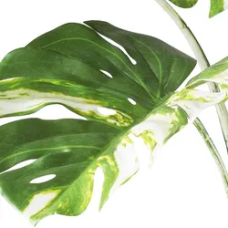 CREATIV green künstliche Pflanze Monstera deliciosa variegata, 160cm