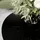 lookway LORI GLASS Schwarz/Gold Glas 70 x 47 cm