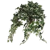 Mica decorations Mica künstliches Efeu grün bunt im Topf 45 x 25 x 25 cm