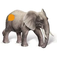 Ravensburger Spieleverlag GmbH tiptoi Afrikanischer Elefantenbulle