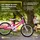 ACTIONBIKES MOTORS Actionbikes Kinderfahrrad Butterfly 20 Zoll Pink, Fahrradständer, Kettenschutz Antirutschgriffe (Weiß/Pink)