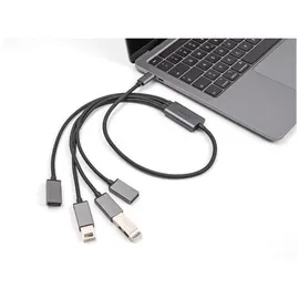 DeLock 64210 Schnittstellen-Hub USB 2.0 Type-C 480 Mbit/s Schwarz -
