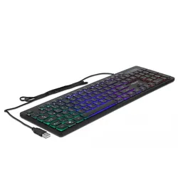 Delock Tastatur - Hintergrundbeleuchtung - USB
