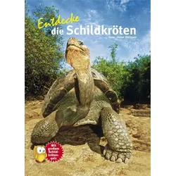 Entdecke die Schildkröten