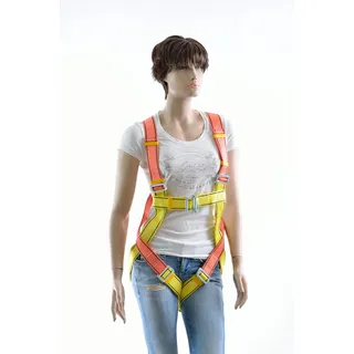 wellenshop Lifebelt 2-Punkt Sicherheitsgurte Rettungsgurte Ganzkörper-Geschirr