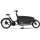 Urban Arrow FamilyNext Pro 2026 20 Zoll RH 26 cm Unisize grün