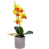 Emyimom Künstliche Orchidee, Kunstblume Schmetterling Orchidee mit Vase Hochzeit Garten Inneneinrichtungen,33cm (gelb)