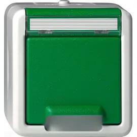Gira Schuko-Steckdose Aufputz Grün