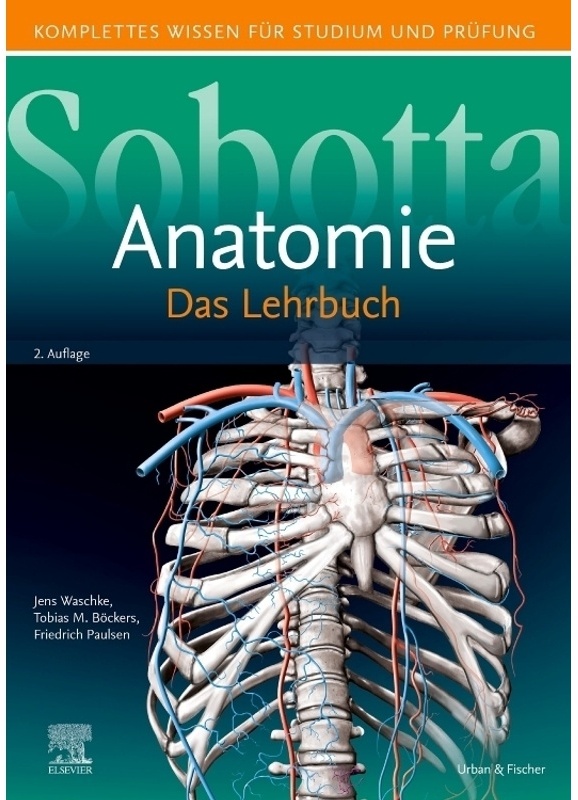 Sobotta Anatomie - Das Lehrbuch, Gebunden