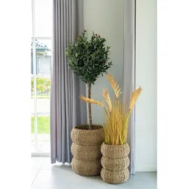 Korbset Sarbas 2er Set 35 x 35 x 45 cm bronze