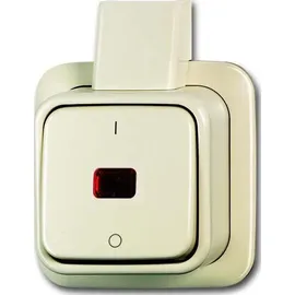 Busch-Jaeger Kontrollausschalter 2601/2 SKAP