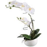 Creativ green Kunstpflanze Orchidee (1 St.)