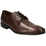 LLOYD Osmond dunkelbraun 45