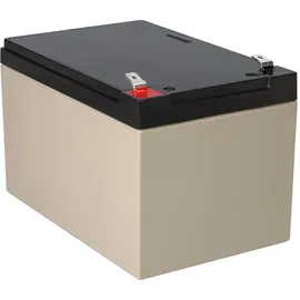 EnerSys Genesis Np12-12wt 12v 12ah Faston 6,3mm Agm Blei Akku