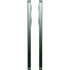 OPPO Reno12 FS 12 GB RAM 512 GB Olive Green