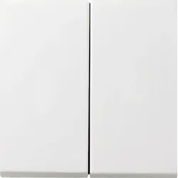 Gira Wippe 2t Schalter reinweiß glänzend Fläche 0295112