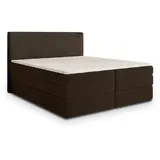 masseno MATERN 160 x 200 cm H2 Braun