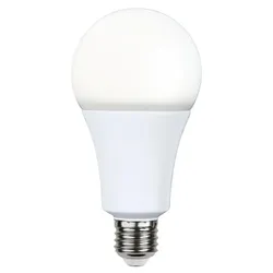 LED Leuchtmittel HIGH LUMEN A80 - E27 - 20W - neutral W 4000K - 2100lm - dimmbar