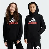 Essentials Two-Colored Big Logo Cotton Hoodie 15-16 Years 15 Jahre