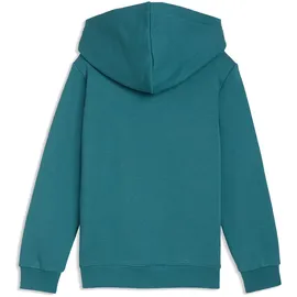 Puma Hoodie Emerald Ice 110