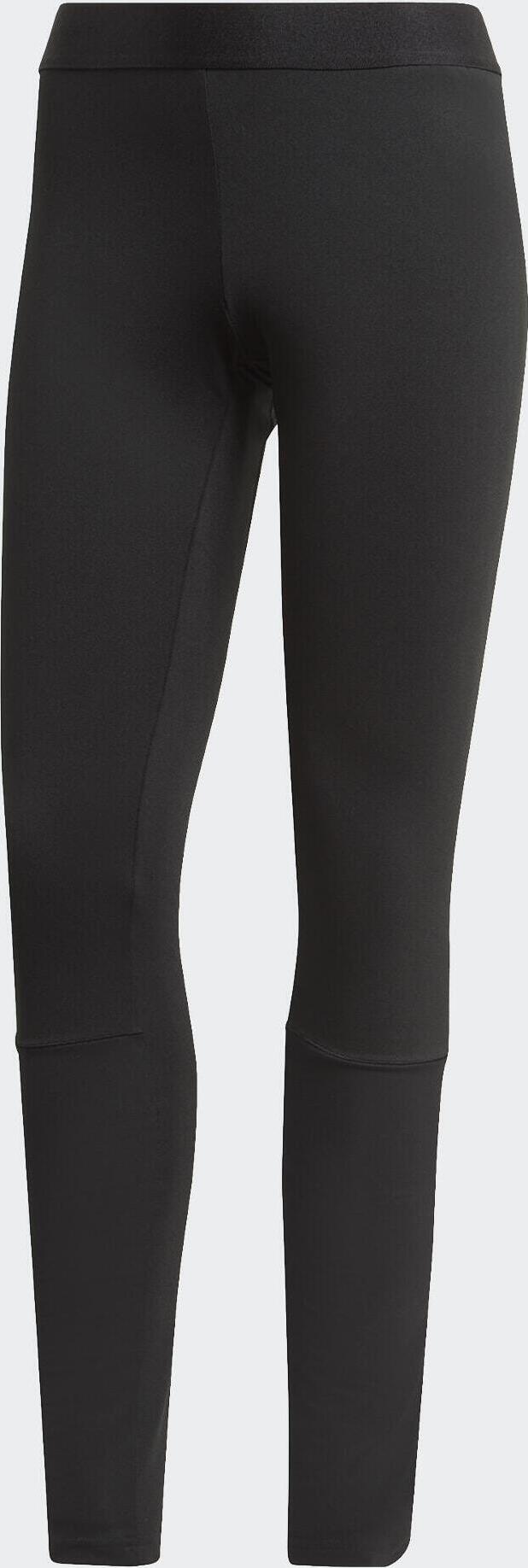 adidas Terrex Terrex Agravic XC Leggings black (095A) 48