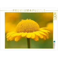 Calvendo Gelbe Sommerblume Puzzle
