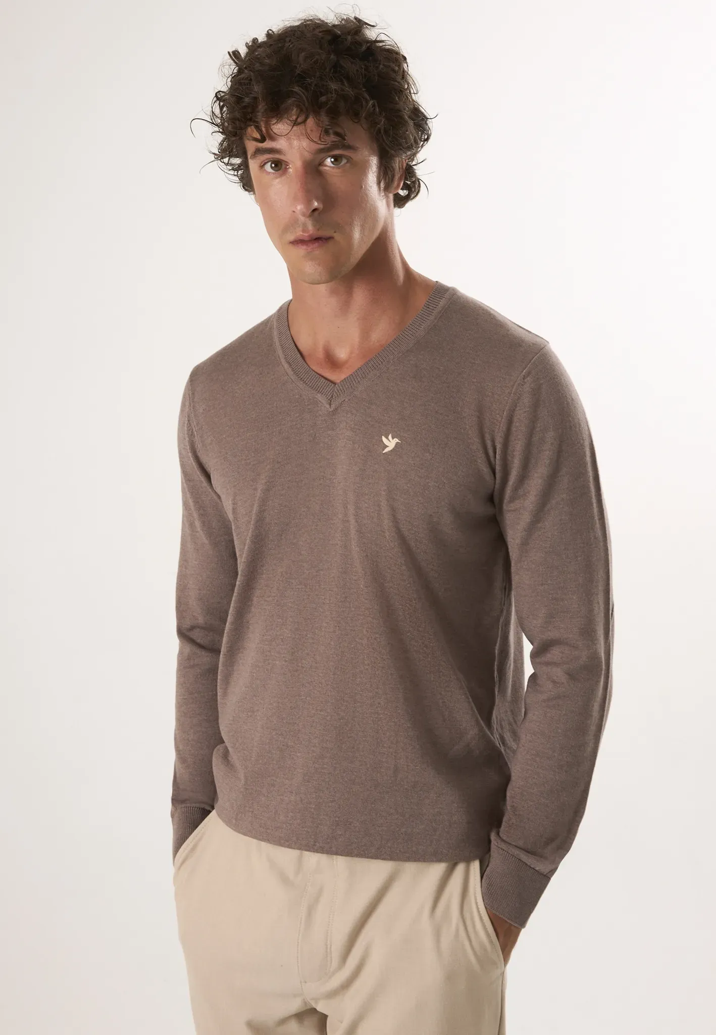 V-Ausschnitt-Pullover FELIX HARDY 