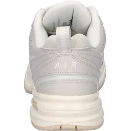 Nike Air Monarch IV Light Bone/Sanddrift/Spruce Aura 42,5
