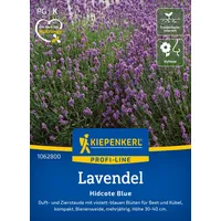 Kiepenkerl Lavendel Hidcote Blue Strain',