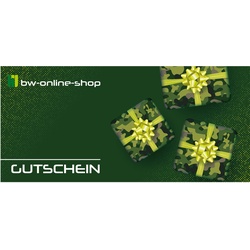 Gutschein Motiv Geschenk, Wert 100 Euro