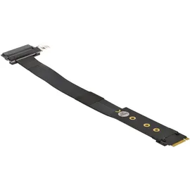 DeLock 64216 Serielle/Parallele Steckkarte M.2 Key M > U.2 NVMe 20 cm