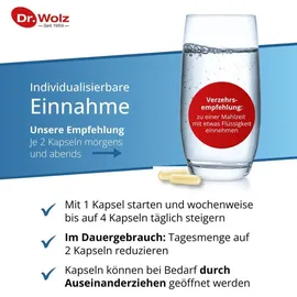 Dr. Wolz Darmflora Plus Select Intens Kapseln 40 St.