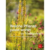 Gräfe u. Unzer AutorenV Welche Pflanze passt wohin im Naturgarten?