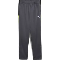 Puma Individualliga Training Pants Jr galactic gray-yellow alert (08) 176