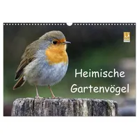 Calvendo Heimische Gartenvögel (Wandkalender 2026 DIN A3 quer), CALVENDO
