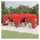 Rot 3 x 6 m