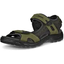 ECCO Offroad Herren grün 43