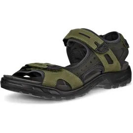 ECCO Offroad Herren grün 43