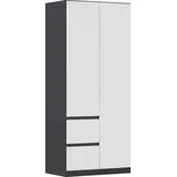 Rauch Drehtürenschrank MAINZ 91 x 210 x 54 cm Grau