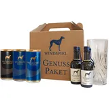 Windspiel Gin & Tonic Tasting Geschenkset - Premium Gin Tonic Verkostung mit zwei verschiedenen Tonics mit High-Ball-Glas für den perfekten Genuss