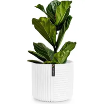 Fox & Fern Fox&Fern 25 Ø x 24 cm Weiß